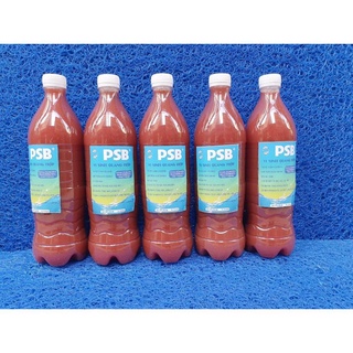 Men vi sinh PSB+ làm trong nước hồ cá