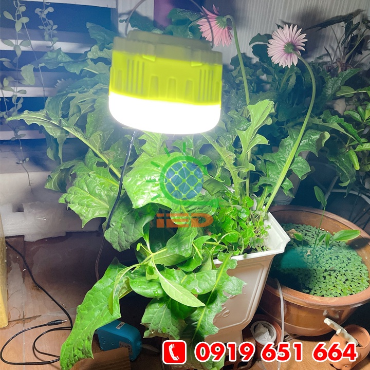 Đèn bulb năng lượng mặt trời 50W