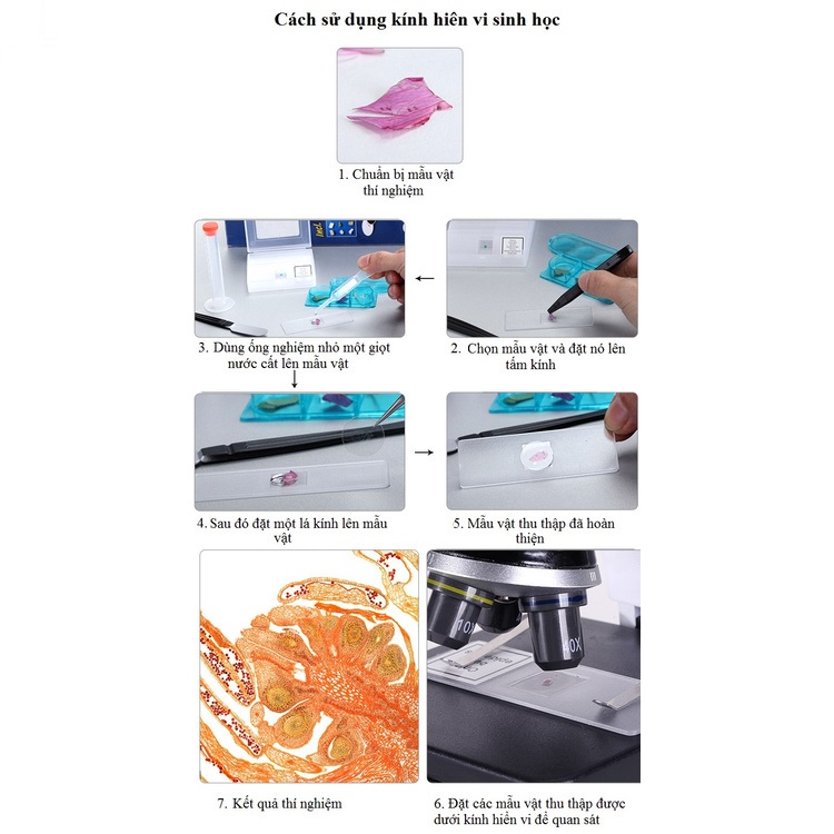 Bộ kính hiển vi soi mẫu vật sống 1200X - Đồ chơi giáo dục STEM - Dùng nghiên cứu khoa học cho bé - Lado shop
