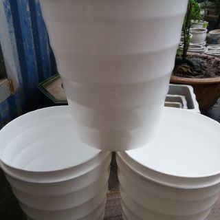 10 chậu trắng sóng nổi cao 22cm rộng20cm