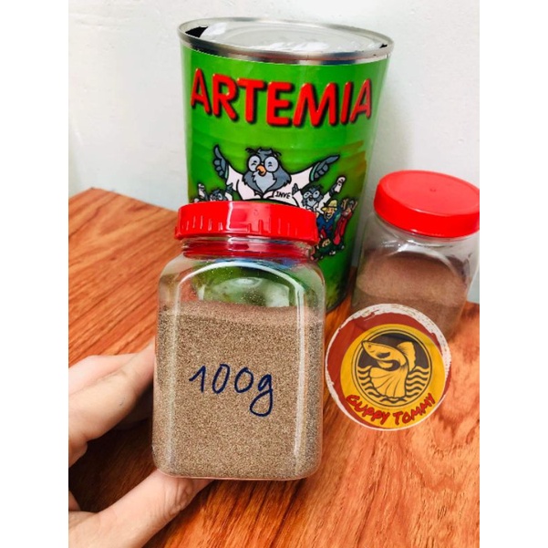 Trứng Atermia Mỹ cú xanh 50g-100g( tỉ lệ nở cao) tặng hút 3ml