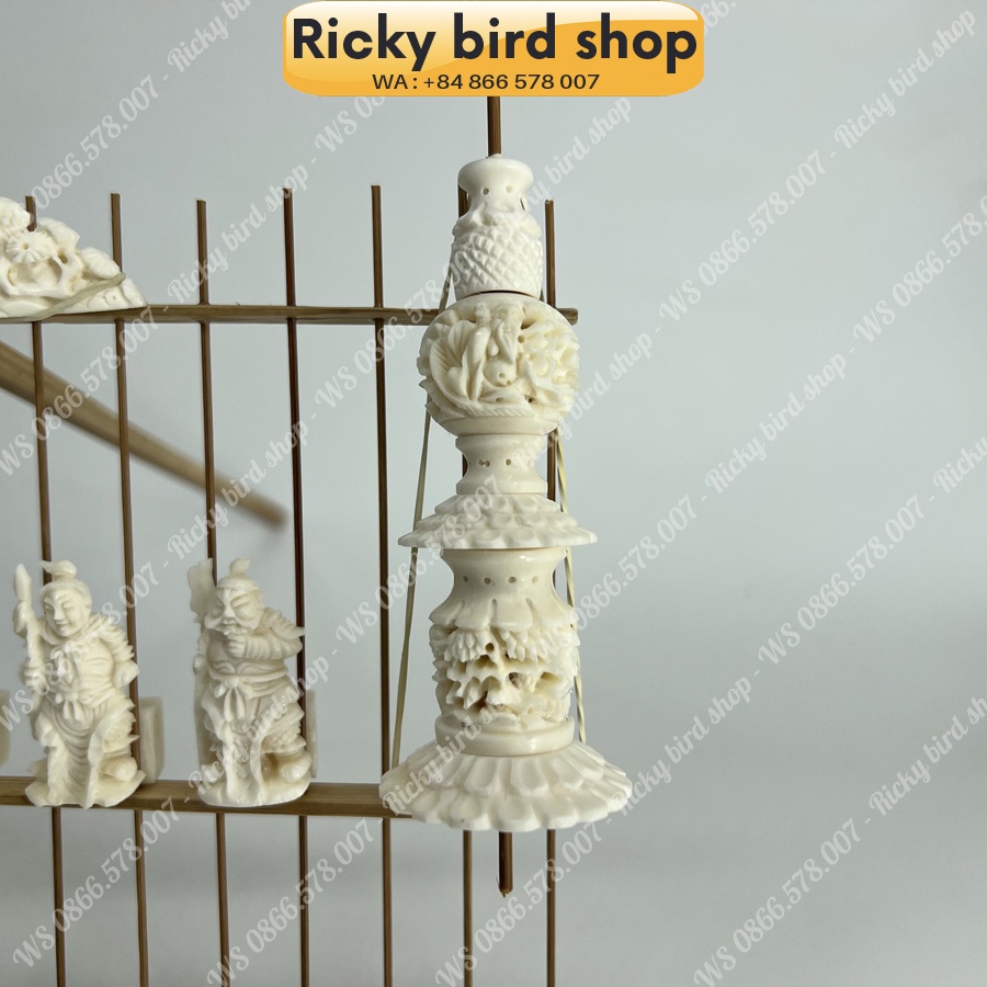 Bone set for Puteh bird cage - Samkok design - Phụ kiện chim Ricky bird shop