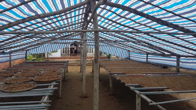 Nhang sạch thảo dược 100% - LIỄU TRI HƯƠNG 2 Tấc