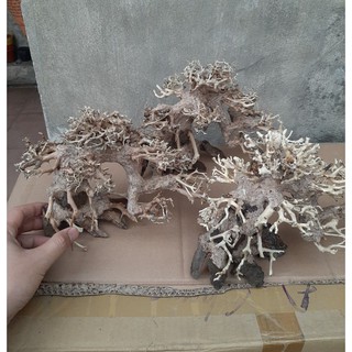 Lũa gỗ bonsai cỡ vừa trang trí bể cá