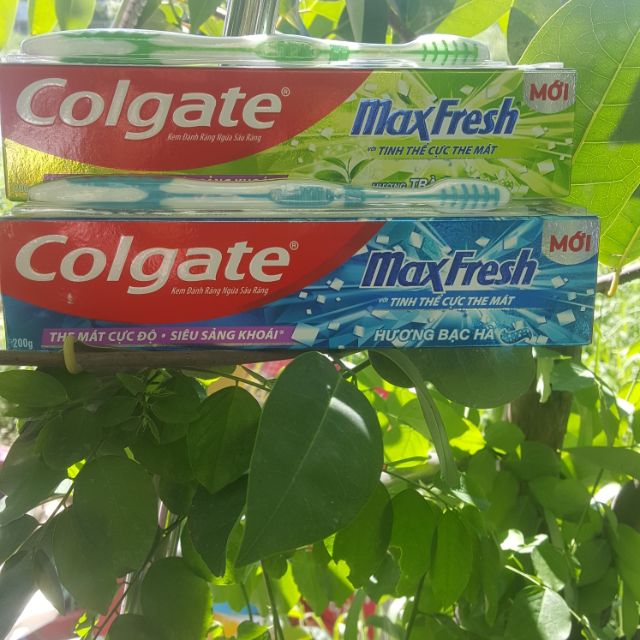 Kem đánh răng Colgate Maxfresh 200g tặng bàn chải