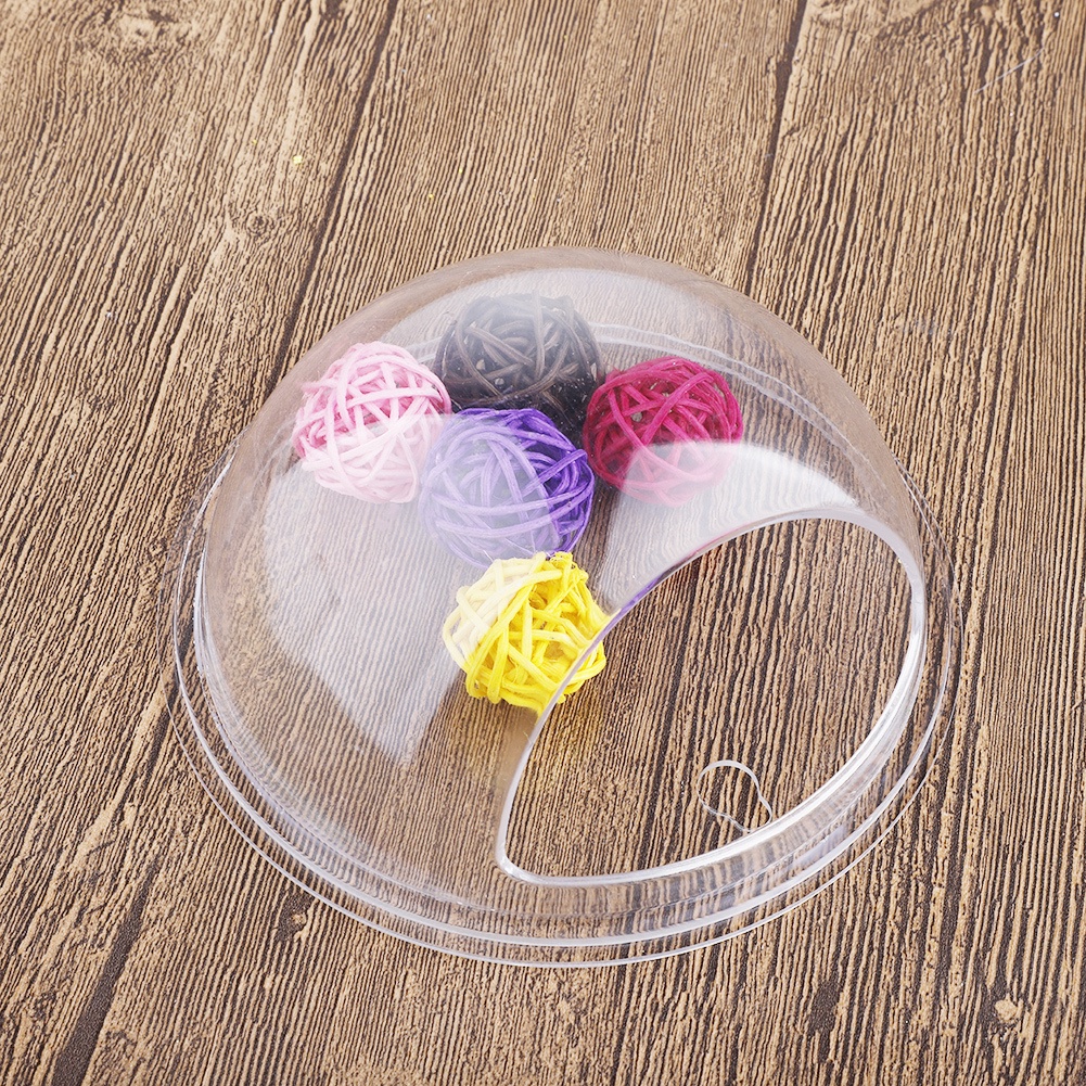 Bình Hoa Trong Suốt Kích Thước 15 * 15CM Dùng Trang Trí Bể Cá