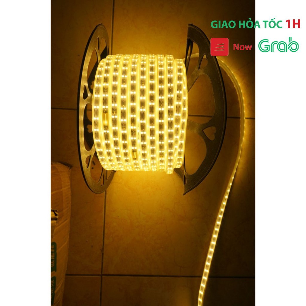 [MÃ GIẢM GIÁ 50K] 10M Đèn LED Dây 2 và 3 hàng 2835 trang trí TẾT, cuốn cây, hắt trần  Siêu Đẹp, Siêu Bền