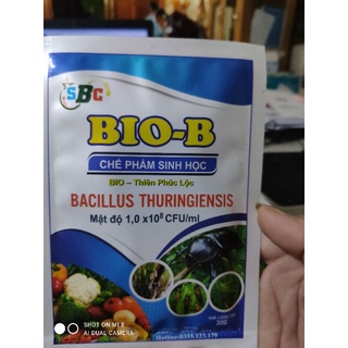 Chế phẩm Bio-B phòng trừ côn trùng và sùng đất rệp sáp