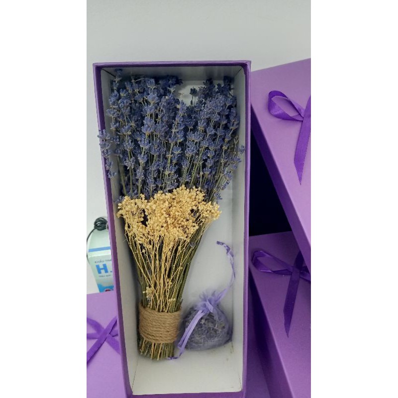 Hộp quà tặng hoa oải hương lavender khô xinh xắn