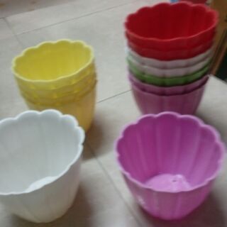 Combo chậu nhiều màu 300k