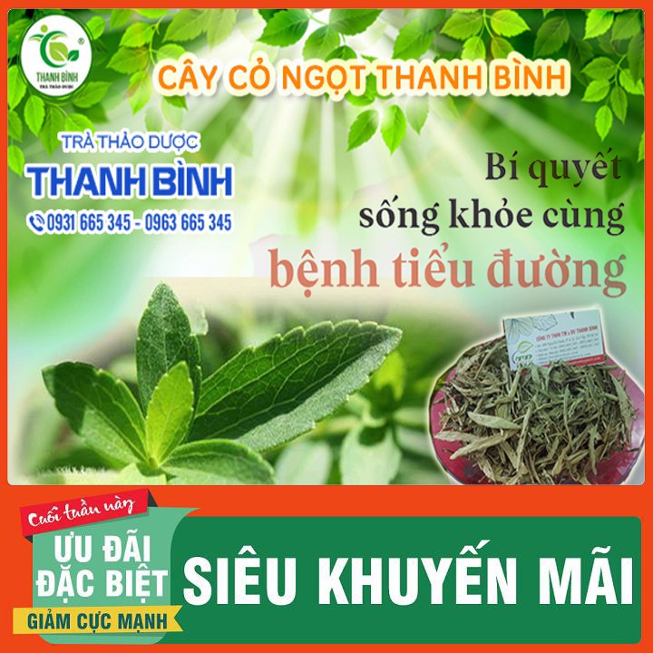 Cây Cỏ Ngọt 100g Loại 1 - Dược Liệu Thanh Bình