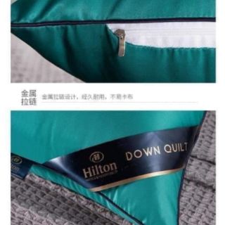 Ruột gối hilton