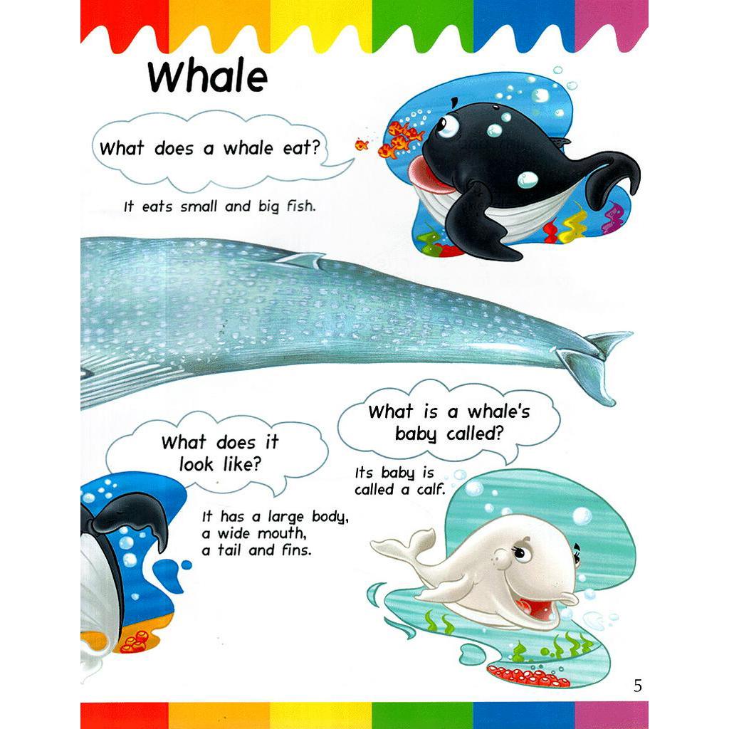 Sách My First Questions &amp; Answers - Ocean