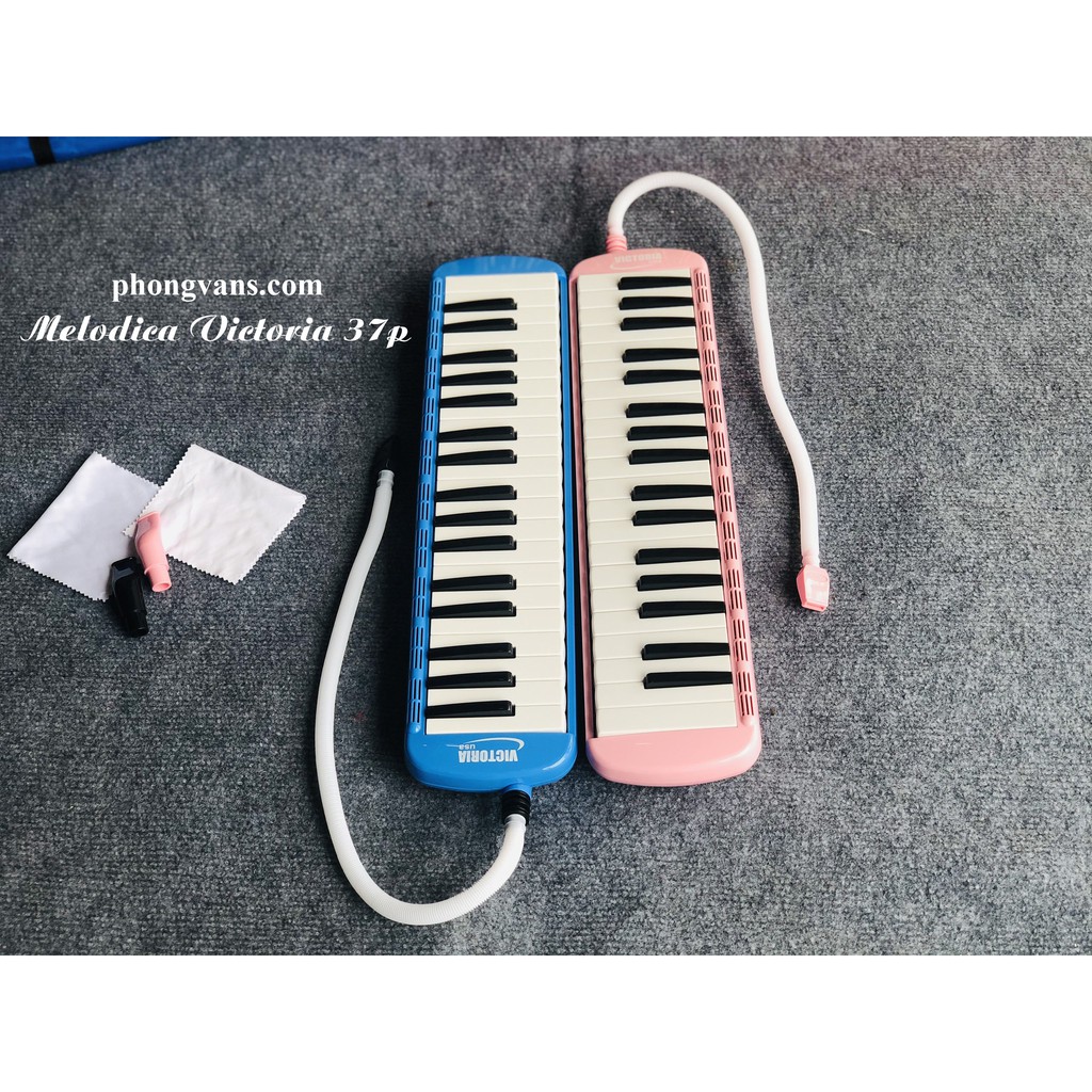 MELODICA VICTORIA 37 PHÍM