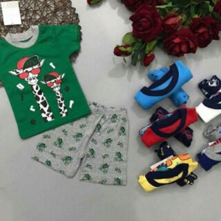Bộ borip bá trai loại