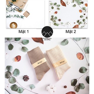 Phông nền chụp ảnh, decor phụ kiện trang trí, phụ kiện chụp ảnh sản phẩm, background son, chụp ảnh mỹ phẩm, nước hoa