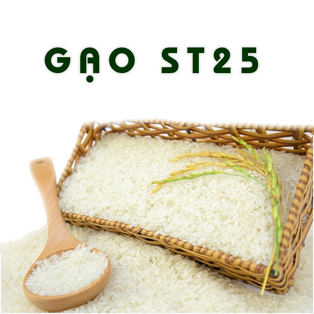 Gạo St25 Túi 5KG Công Ty GẠO NHÀ Phân Phối (Gạo Đặc Sản Sóc Trăng)