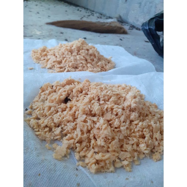 TRỨNG RUỒI LÍNH ĐEN - hỗ trợ kỹ thuật nuôi