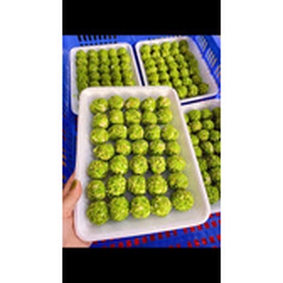 Khay 500g cốm xanh Ongon