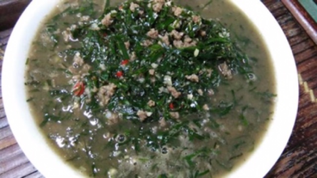 Cây lá đắng  Thanh Hoá