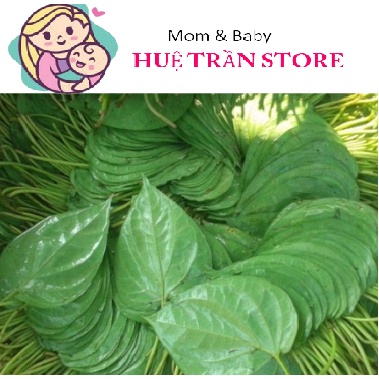 Lá trầu không tươi 1kg đặt hàng mới hái