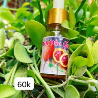 Tinh Dầu Gấc Handmade