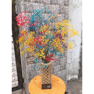 Hoa khô trang trí ❤️Hoa Bibi khô Nhập Khẩu❤️ trang trí tiệc cưới vintage, Quà tặng