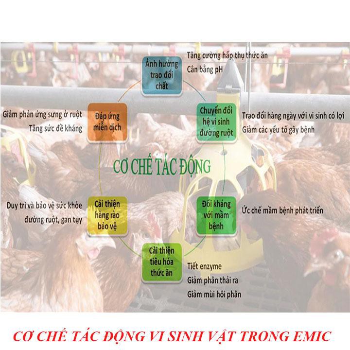 CHẾ PHẨM SINH HỌC EM (EMIC) - CHAI 1 LÍT