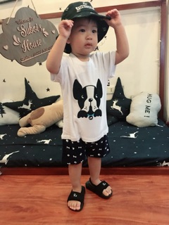 Body đùi hình chó bull pháp
