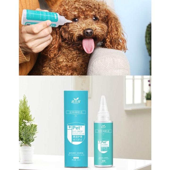 Nhỏ mắt cho chó mèo Dorrikey chai lớn 60ml - Hàng Date mới