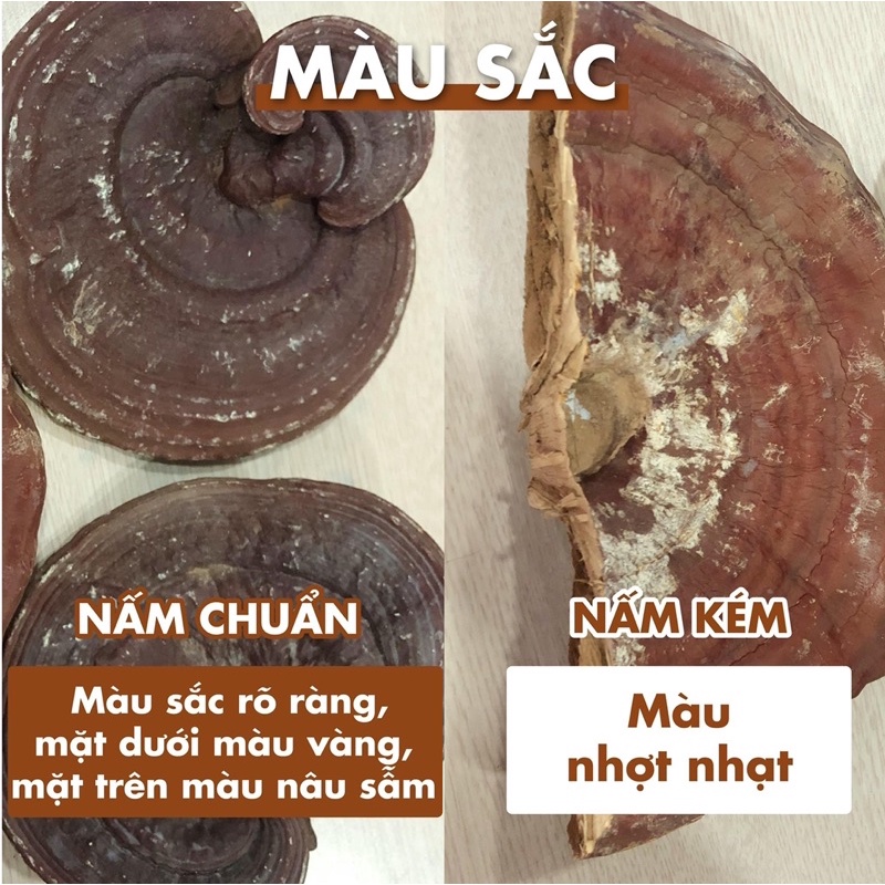 [Nhập khẩu Hàn Quốc] Nấm Linh Chi cao cấp Hàn Quốc Imsil Nonghuyp M 1kg | BigBuy360 - bigbuy360.vn