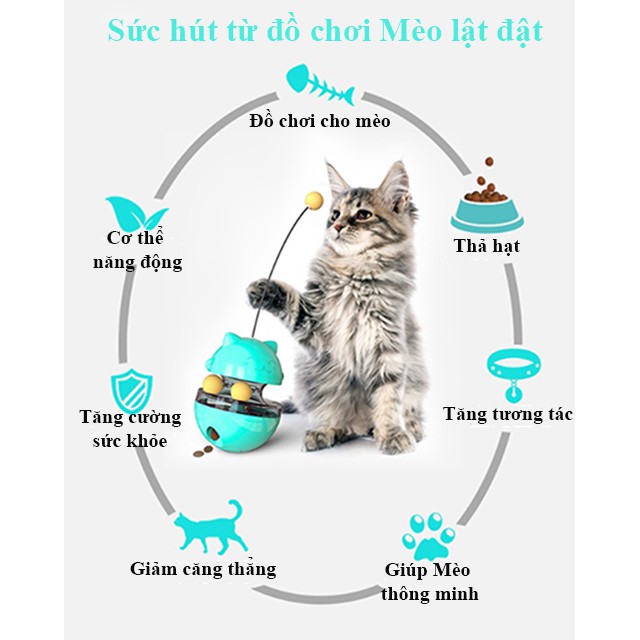 [SỐ 1 VỀ GIÁ] Đồ Chơi Thả Hạt ~ Lật Đật Lắc Lư ~ Phụ Kiện Chó Mèo ~ Sẵn 3 Màu ~ Bền Đẹp ~ Chắc Chắn - JFamille Pet Snack