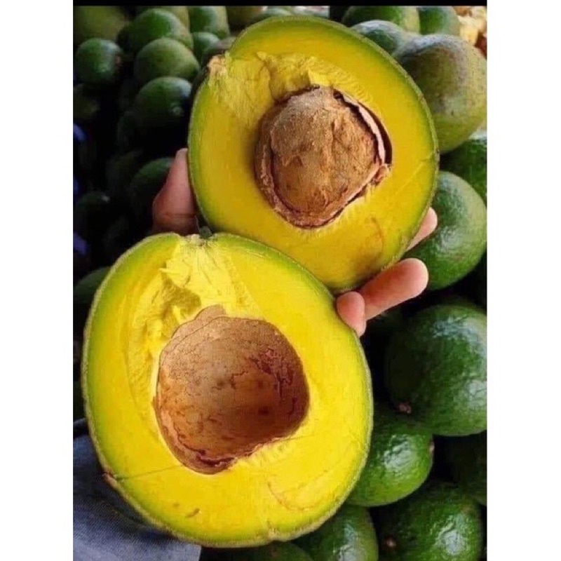 Bơ booth sạch hàng sẵn tại HCM