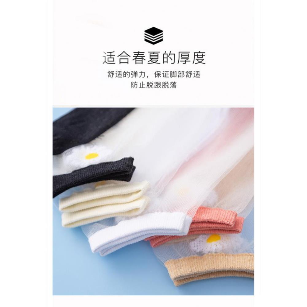 10 đôi Tất Lưới Xuyên Thấu Thiết Kế Hình Hoa Cúc Cho Nữ