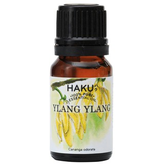 Tinh dầu Ngọc Lan Tây Ylang Ylang