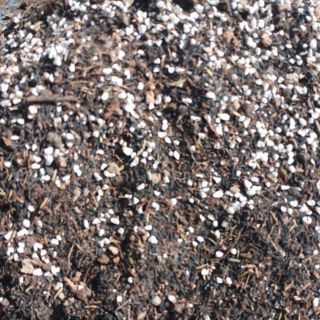 500g Đất trồng sen đá trộn phân dê nguyên chất. Bảo đảm cây cực kì phát triển.