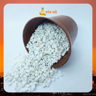 Đá perlite trân châu 3-6mm trồng cây lan sen đá 1kg 200g