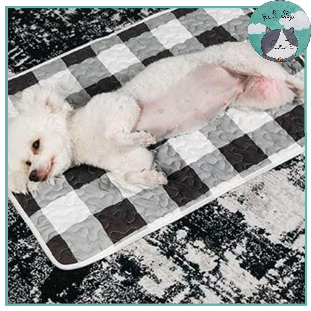 Thảm Vải Mùa Hè Cho Chó Mèo - Thảm Nằm Mùa Hè Chống Nóng Cho Thú Cưng