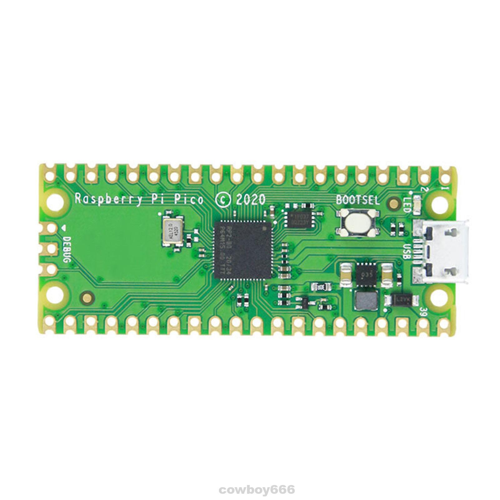 Bảng Mạch Lập Trình Micropython Cho Raspberry Pi