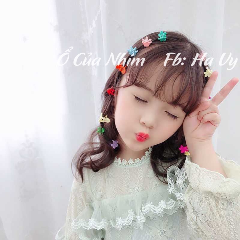 Hộp 50 kẹp càng cua mini cho bé yêu 🎀