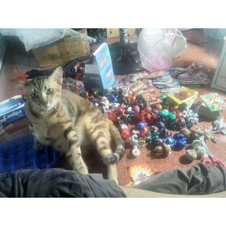 Mô hình đồ chơi Bakugan , quần chúng phần 2 , phần 3 và phần 4