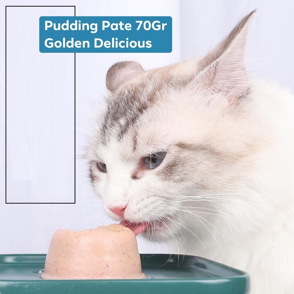 Pudding Pate 70Gr - Thức Ăn Vặt Cho Mèo 4 Vị - Ăn Vặt Nhưng No Đến Tối Lại Đầy Đủ Chất Dinh Dưỡng Từ Nguyên Liệu Thịt