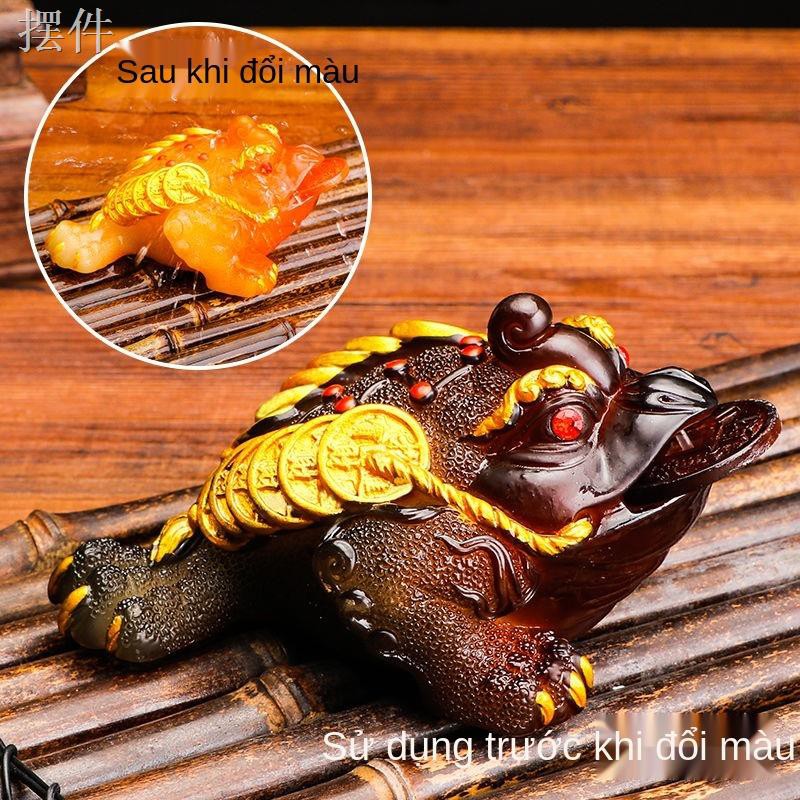 QGolden Pig Tea Trang trí cho thú cưng Bộ trà Kung Fu đổi màu Phụ kiện Pixiu Creative Bình xịt để bàn Cóc vàngy mắn c