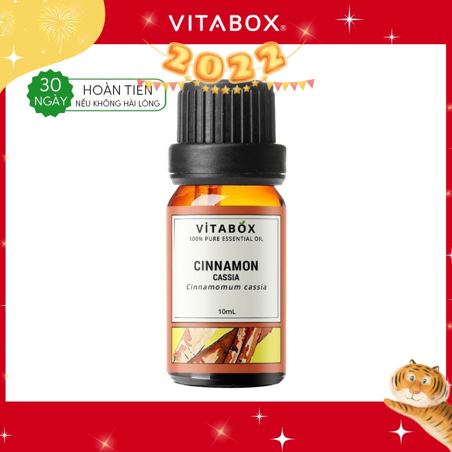 Tinh Dầu Vỏ Quế (Cinnamon Cassia) - 100% Thiên Nhiên Nguyên Chất - Vitabox Natural Essential Oil