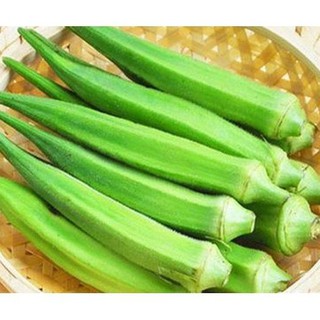 Hạt giống đậu bắp cao sản OKRA- PNSeeds