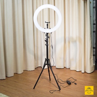 Đèn led live trym 26cm, 35cm