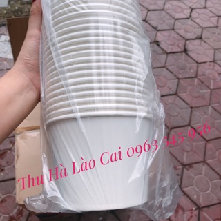 50 bát giấy 1000ml trắng trơn  ( có nắp )