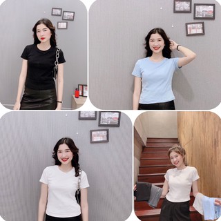 [ QUÀ TẶNG ] Áo thun nữ/ áo thun gân dệt kim tay ngắn thiết kế ôm sát quyến rũ