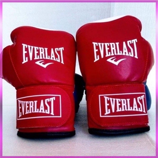 Găng Tay Quyền Anh /găng Tay Boxing /găng Tay Tập Võ Everlast - RAY SPORTS