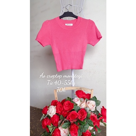 Áo mongtegi dáng croptop